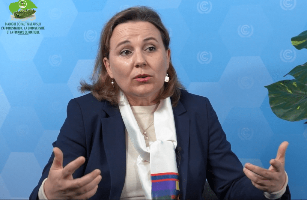 Un Soutien Renforcé de la CCNUCC pour la République Centrafricaine dans la Lutte Contre les Changements&nbsp;Climatiques